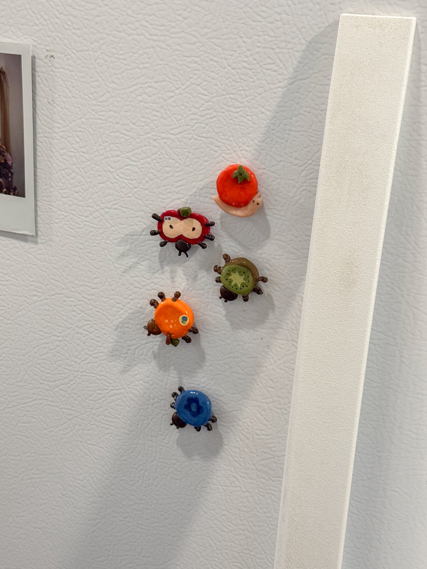Fruit Bug Magnets